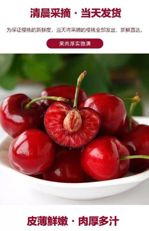 天水大樱桃露地种植樱桃车厘子美早新鲜水果当季整箱5斤
