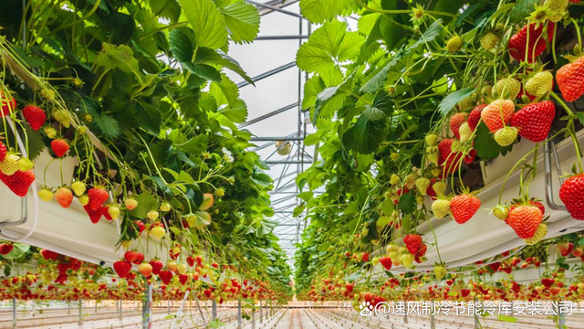 石家庄水果种植大棚保鲜冷库安装公司新技术,延长储藏增加收益" href="http://www.vcg.com/creative-image/7308997/?page=3